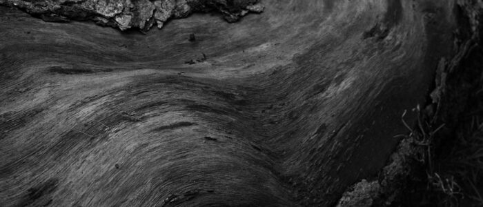 11.LauraGarciaBerlanga_mujerdelagua