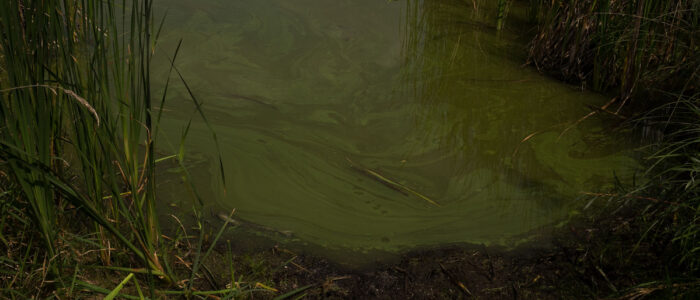 2.LauraGarciaBerlanga_mujerdelagua