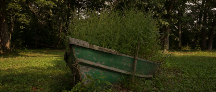 4.LauraGarciaBerlanga_mujerdelagua